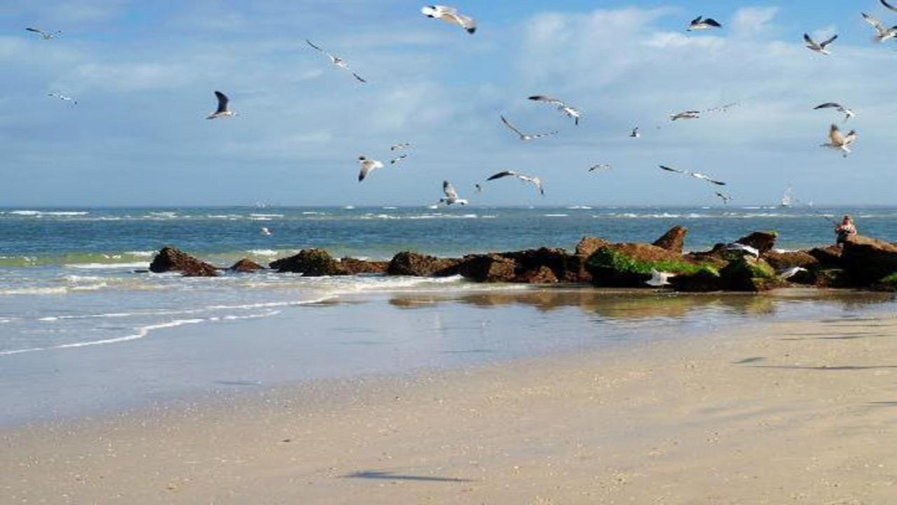 The Saint Augustine Beach House מראה חיצוני תמונה